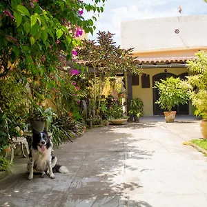 No Jardim - Dos Anjos Alojamento de Acomodação e Pequeno-almoço Arraial do Cabo